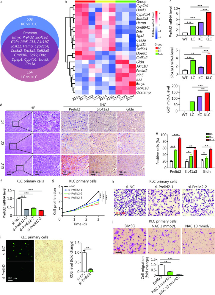 PMC10731709 – Fig4