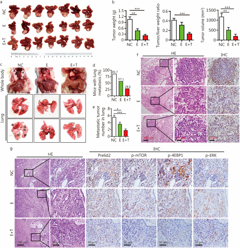 PMC10731709 – Fig5
