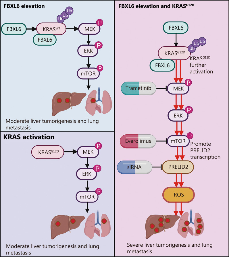 PMC10731709 – Fig7