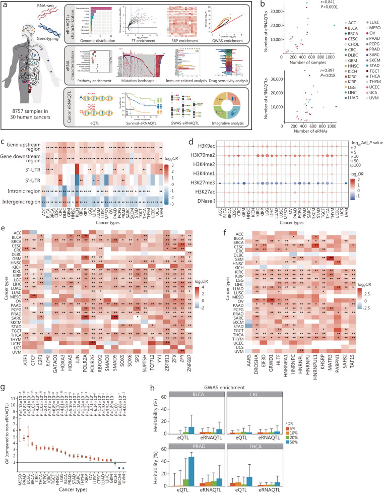 PMC11165858 – Fig1