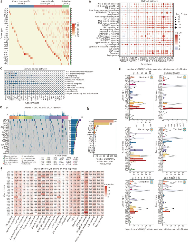 PMC11165858 – Fig2