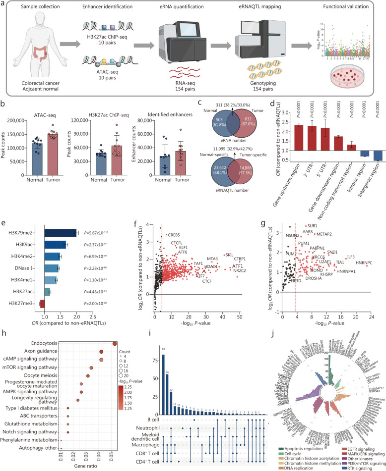 PMC11165858 – Fig3