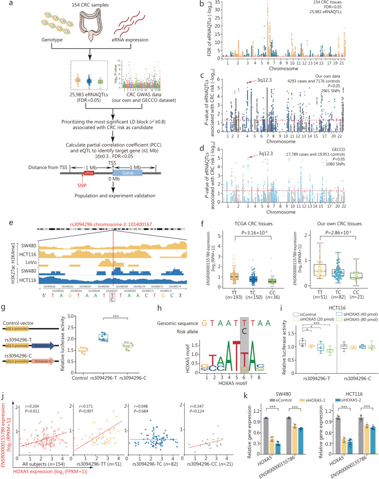 PMC11165858 – Fig5