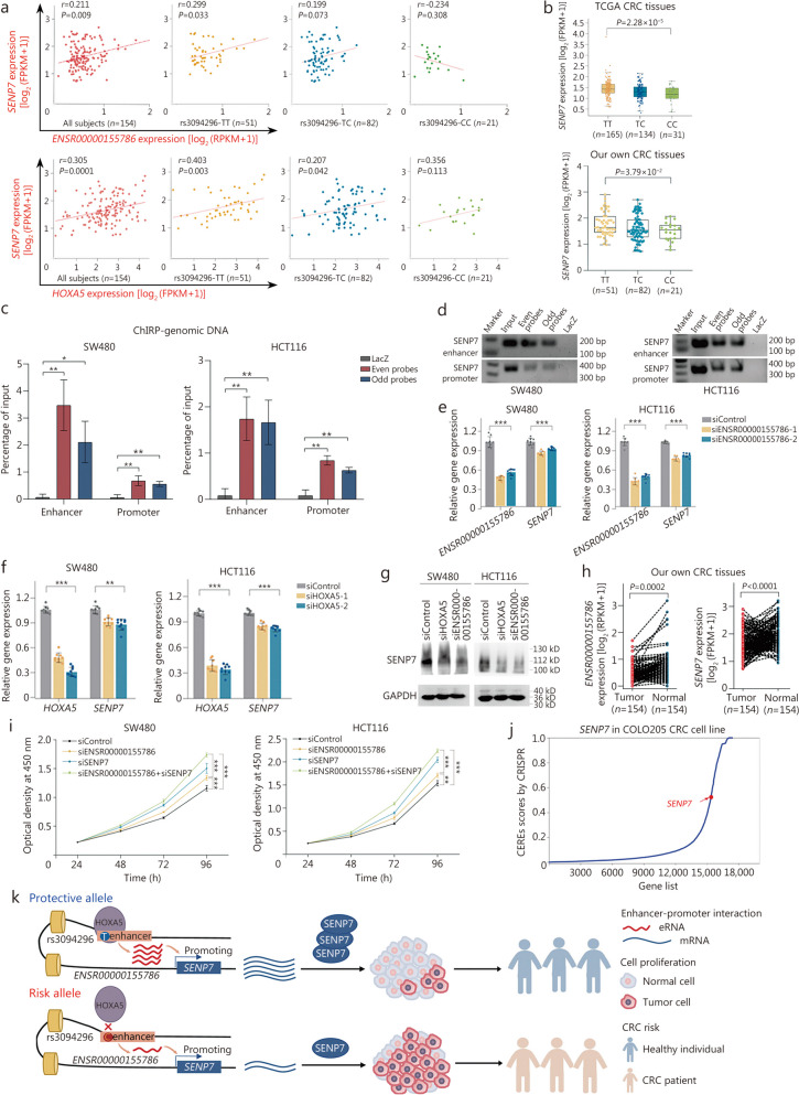 PMC11165858 – Fig6