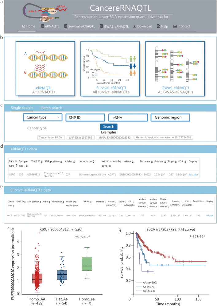 PMC11165858 – Fig7