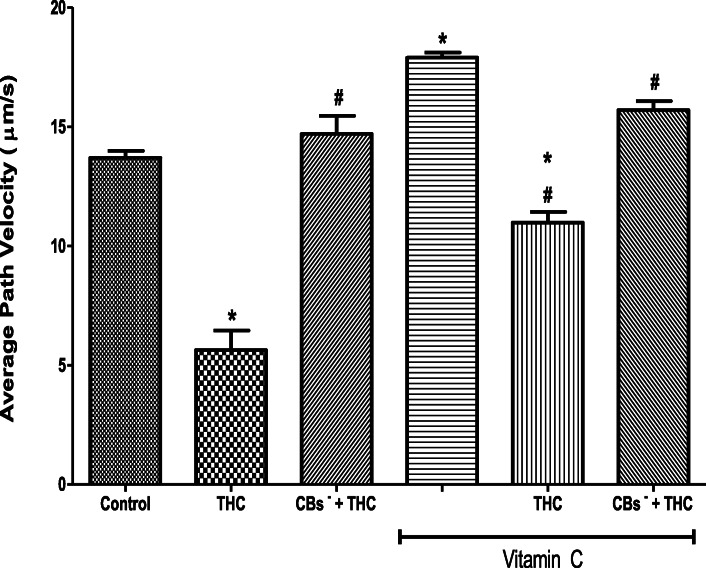 PMC7684963 – Fig3