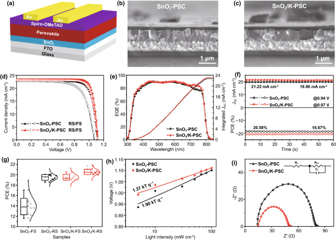 PMC8271052 – Fig4