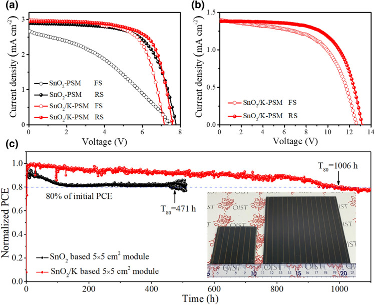 PMC8271052 – Fig5