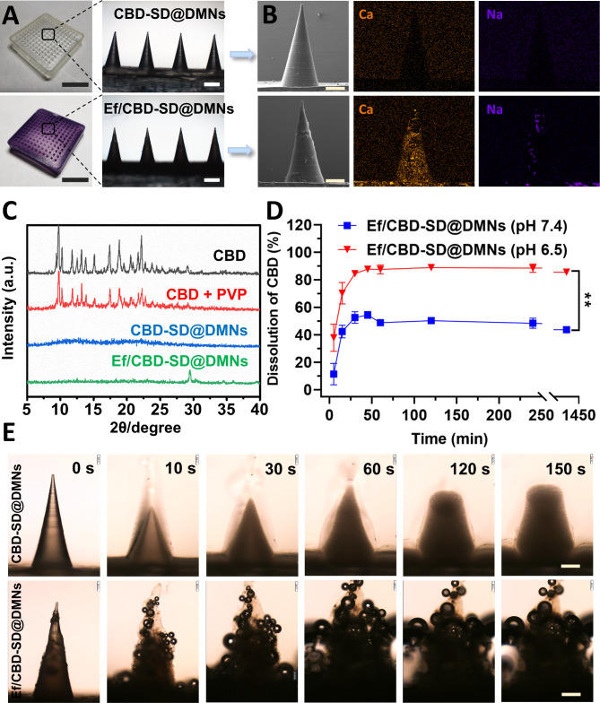 PMC10193696 – Fig1