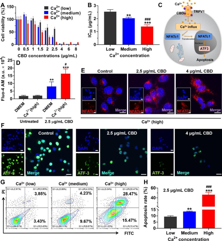 PMC10193696 – Fig3