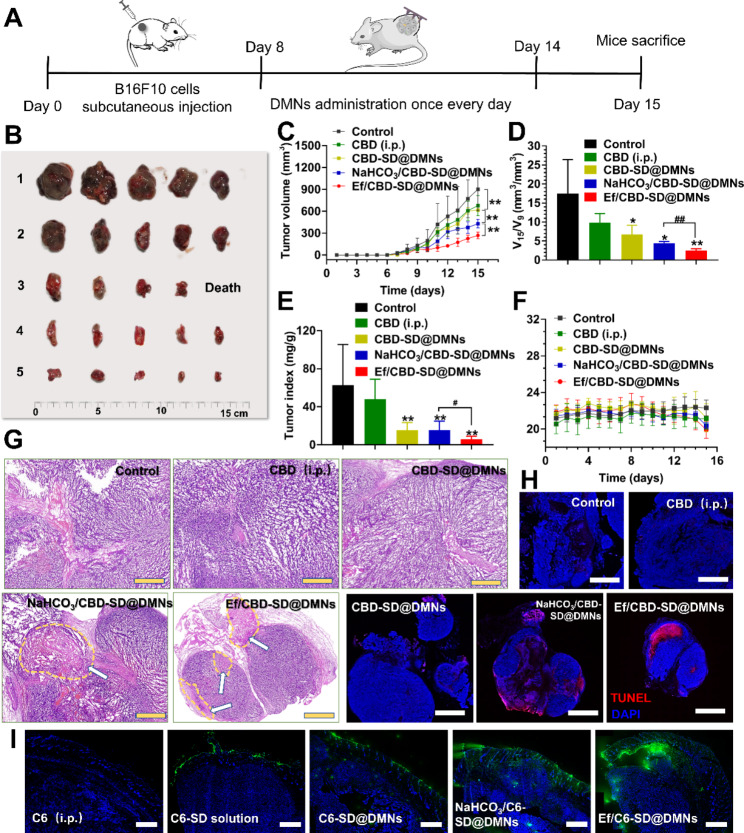 PMC10193696 – Fig4