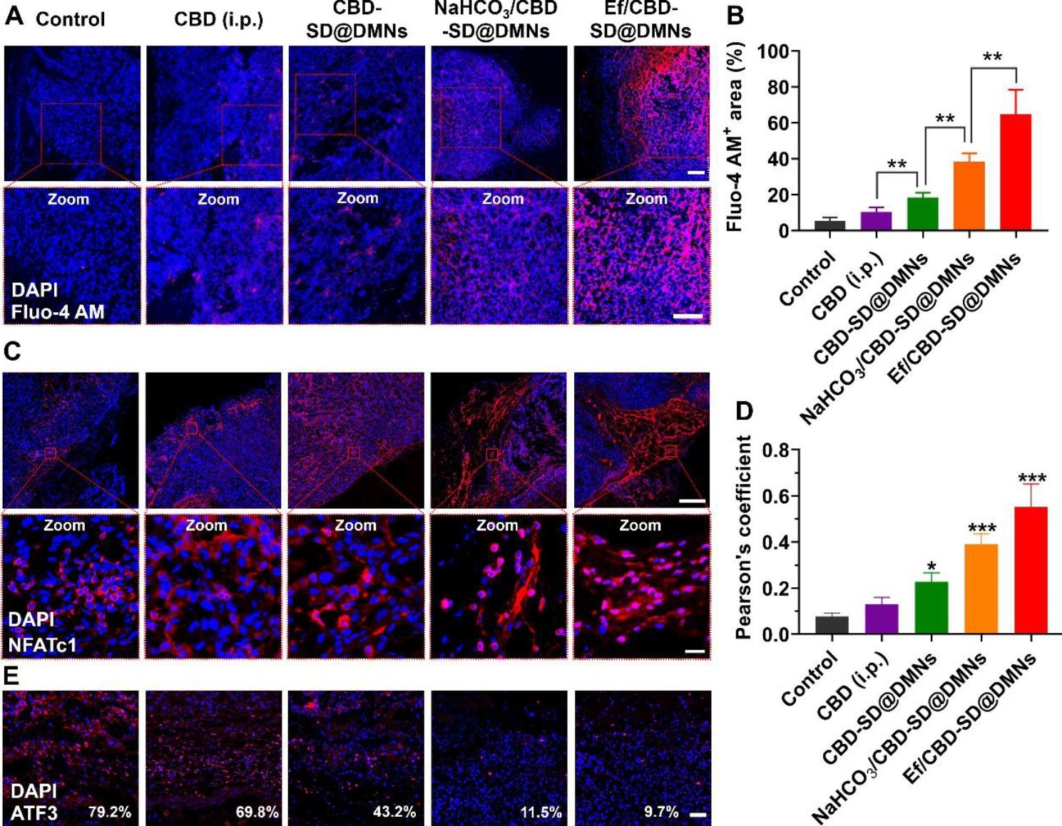 PMC10193696 – Fig7