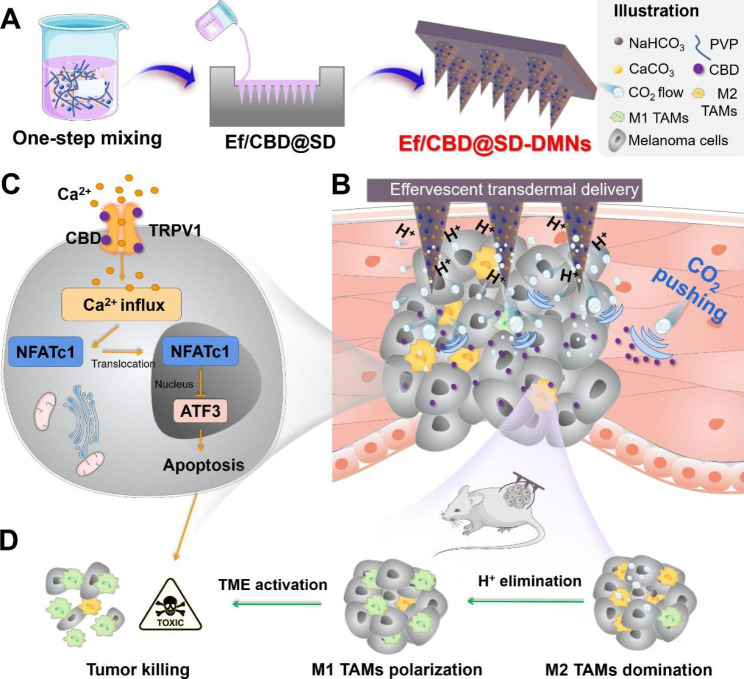 PMC10193696 – Sch1