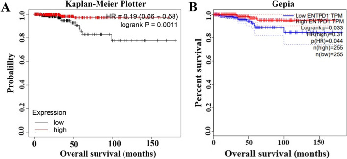 PMC8408975 – Fig5
