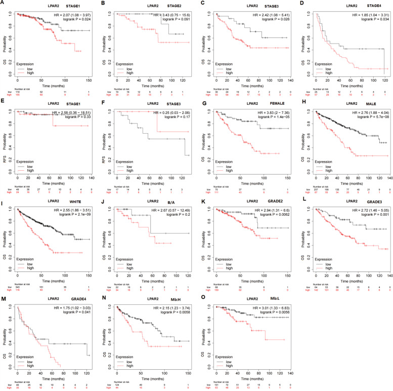 PMC8896370 – Fig10