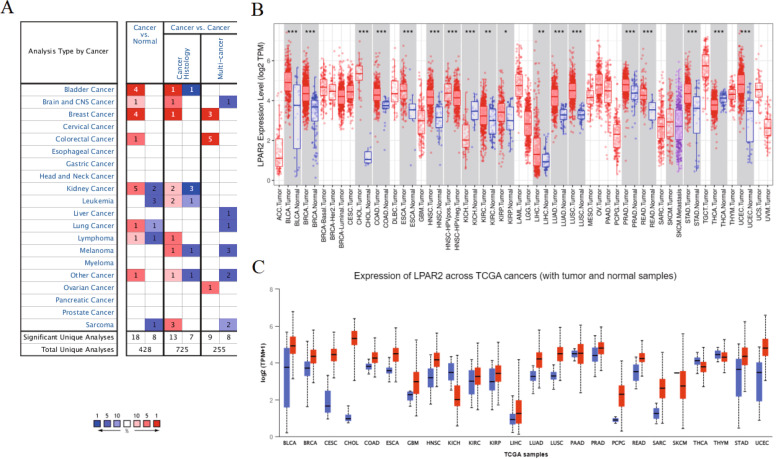 PMC8896370 – Fig2