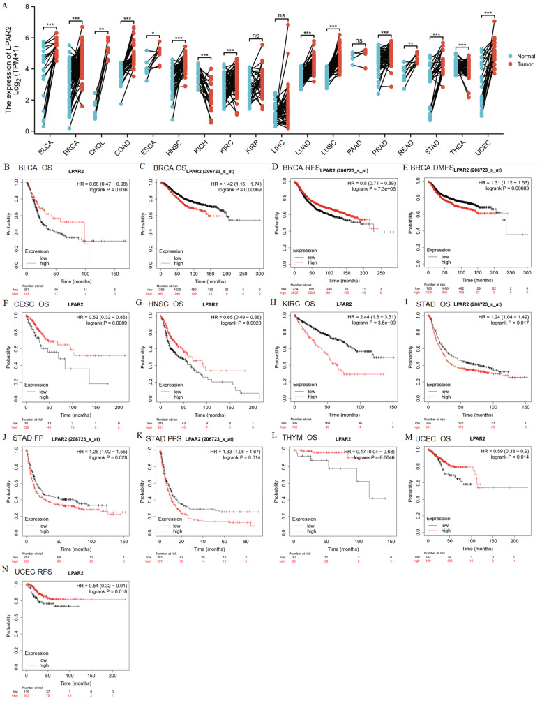 PMC8896370 – Fig4