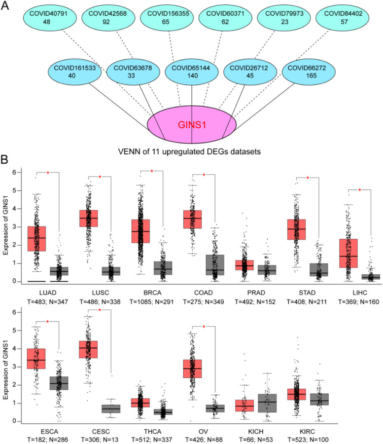 PMC9713126 – Fig5