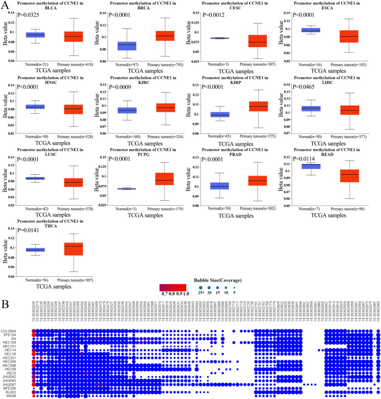 PMC10037856 – Fig3
