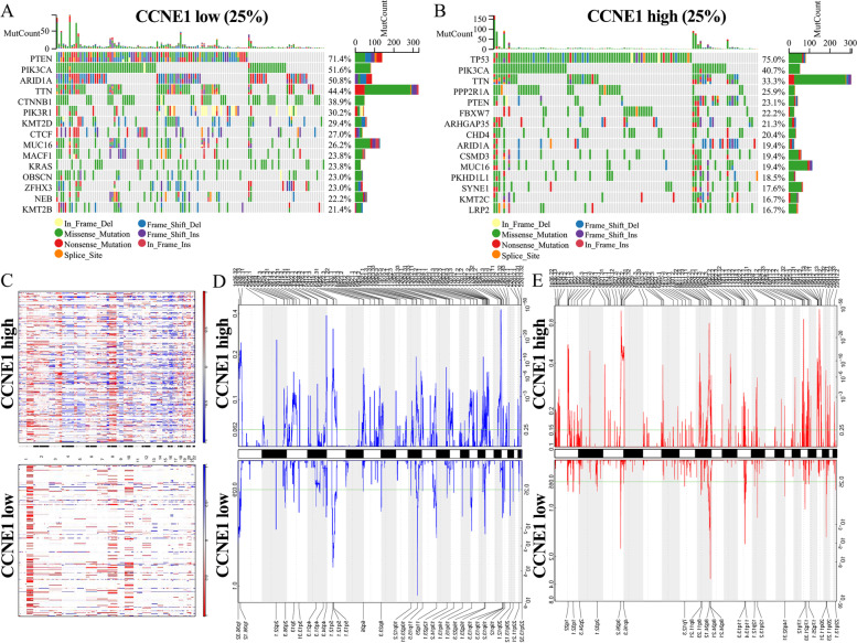PMC10037856 – Fig4