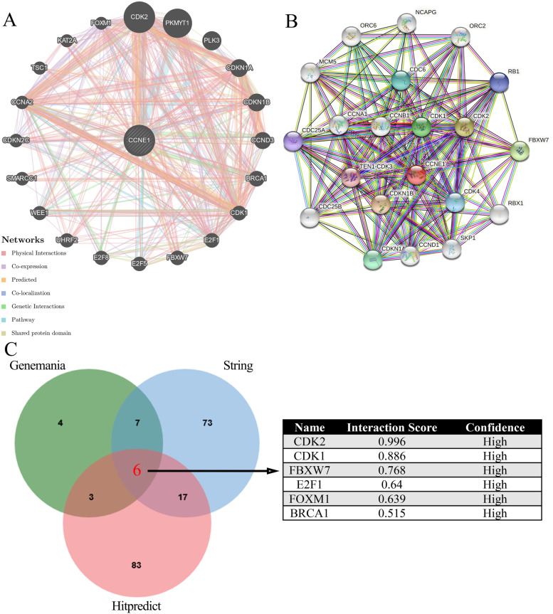 PMC10037856 – Fig5
