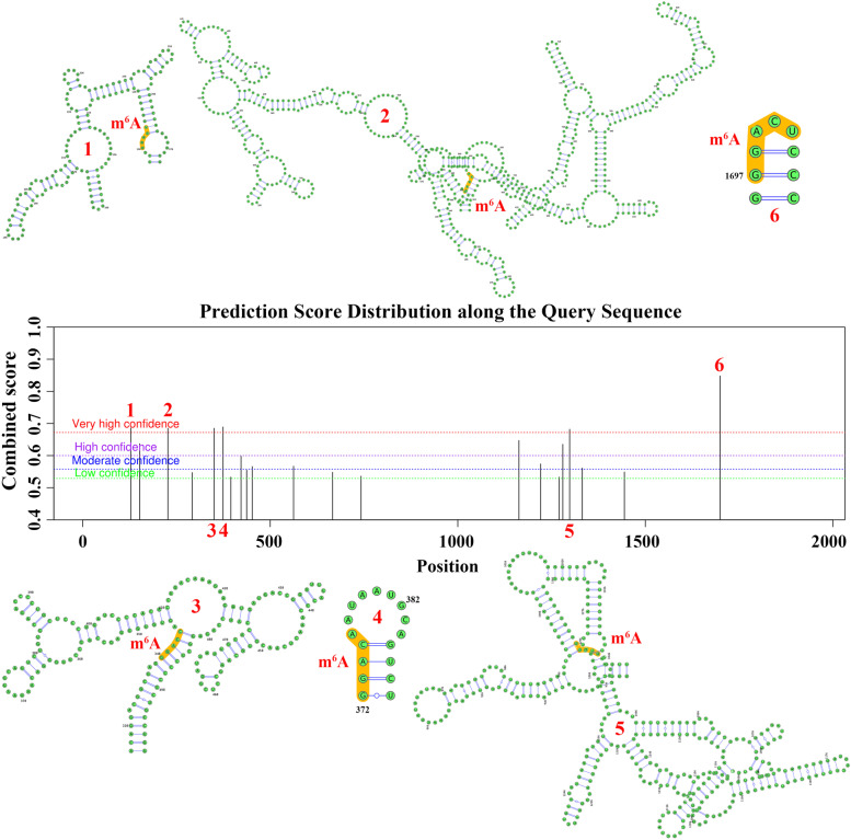 PMC10037856 – Fig6