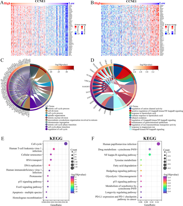 PMC10037856 – Fig7