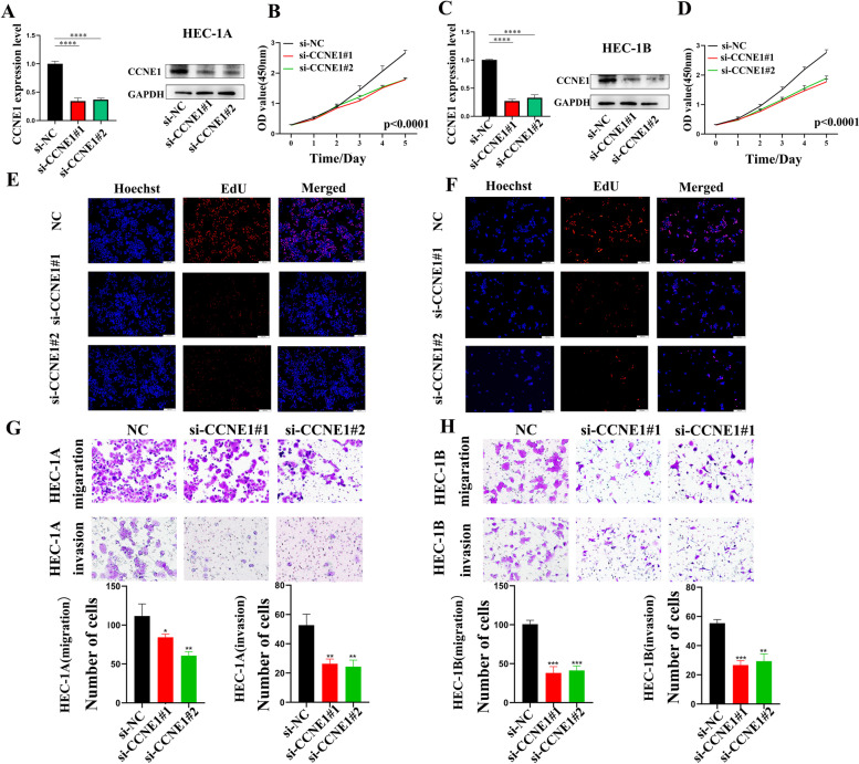 PMC10037856 – Fig9