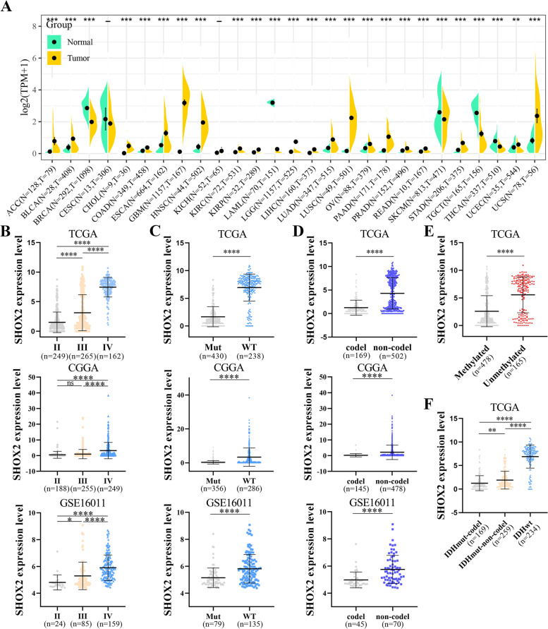 PMC10173633 – Fig1