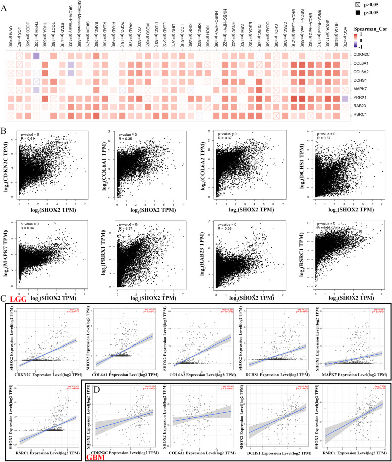 PMC10173633 – Fig3