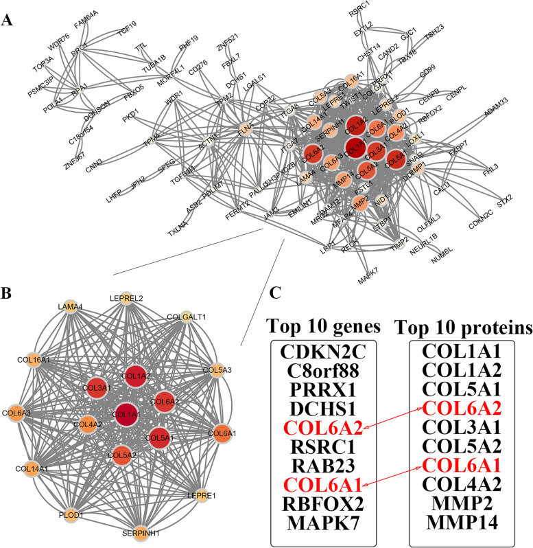 PMC10173633 – Fig4