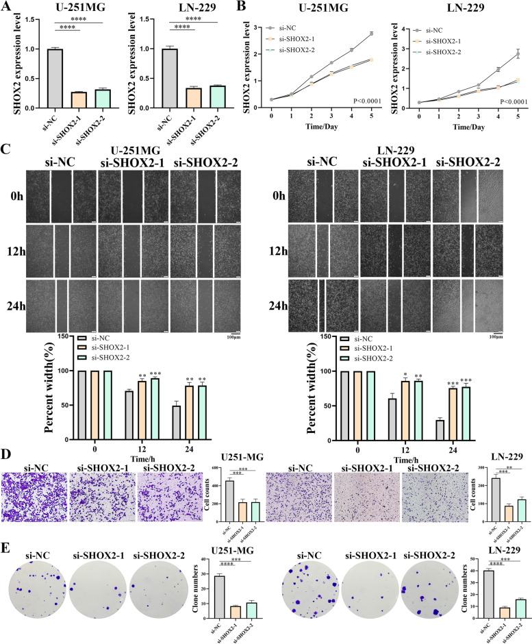 PMC10173633 – Fig9