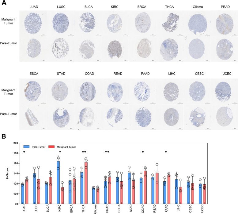 PMC10227977 – Fig11