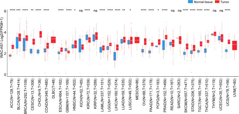 PMC10227977 – Fig1