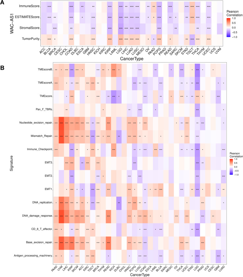 PMC10227977 – Fig4
