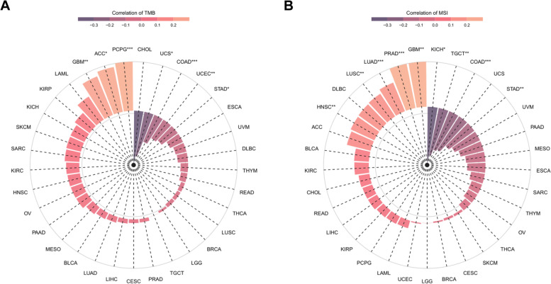 PMC10227977 – Fig7