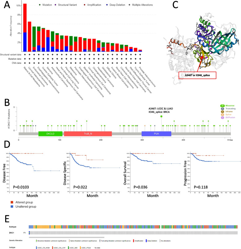 PMC10712082 – Fig3