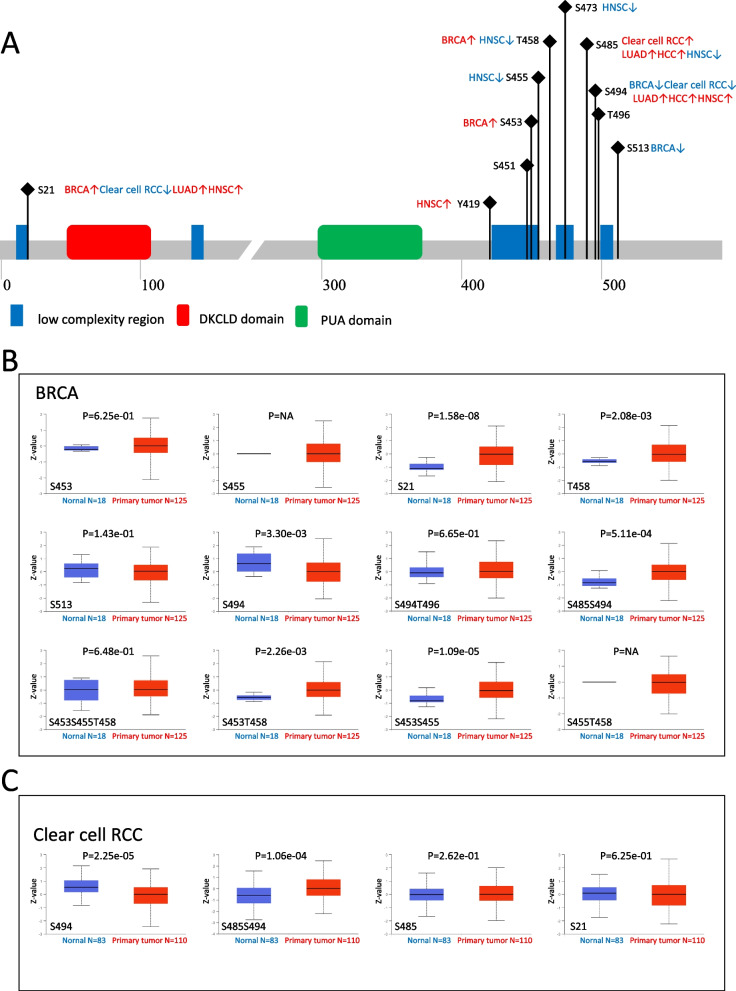 PMC10712082 – Fig5