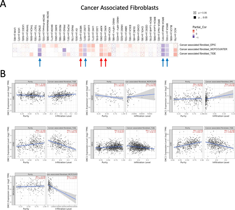 PMC10712082 – Fig6