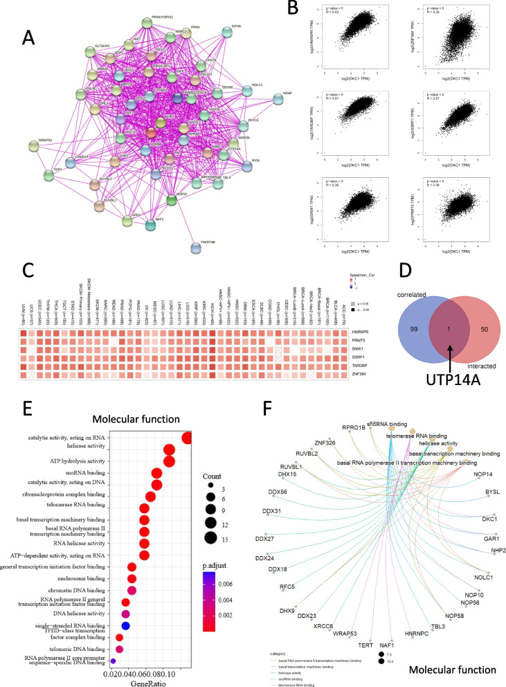 PMC10712082 – Fig7