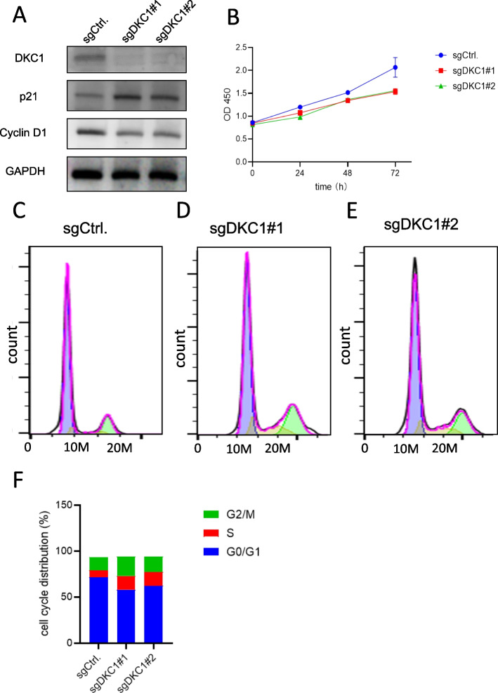PMC10712082 – Fig8