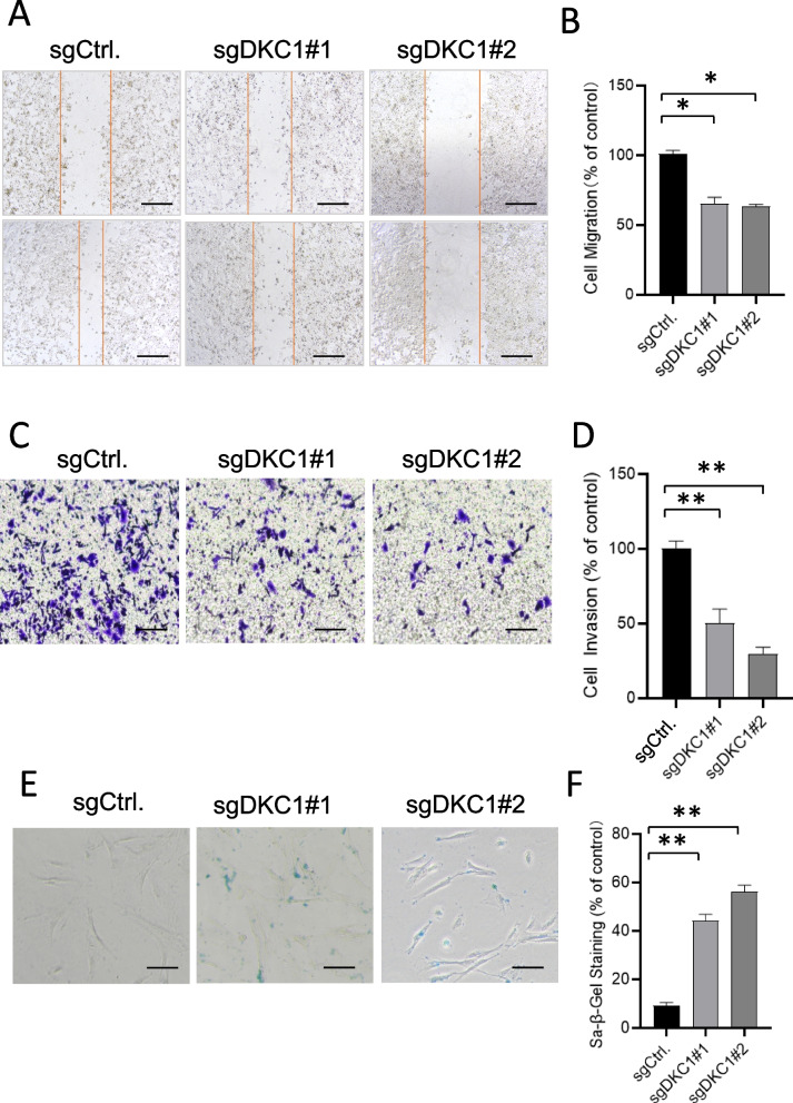 PMC10712082 – Fig9
