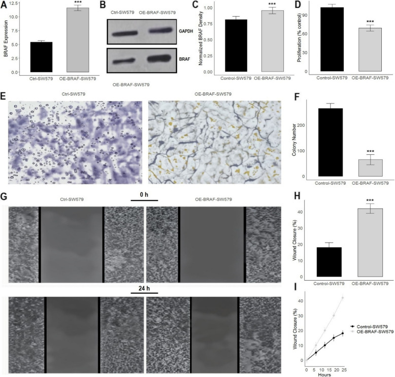PMC12126899 – Fig12