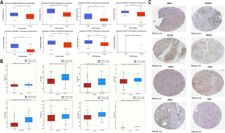 PMC12126899 – Fig3
