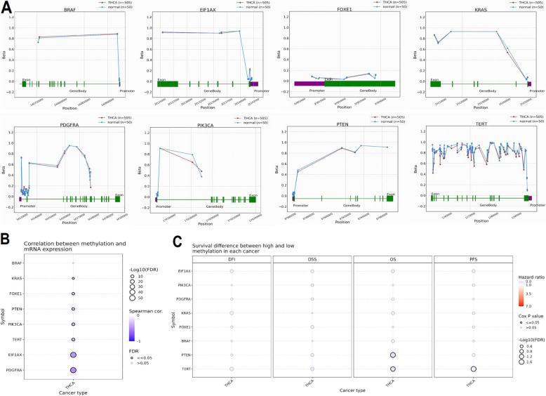 PMC12126899 – Fig4