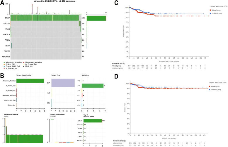 PMC12126899 – Fig5