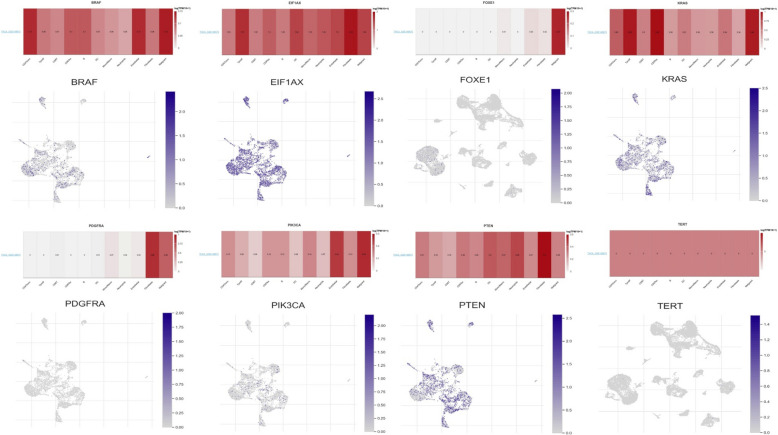 PMC12126899 – Fig8