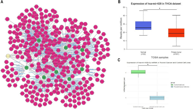 PMC12126899 – Fig9