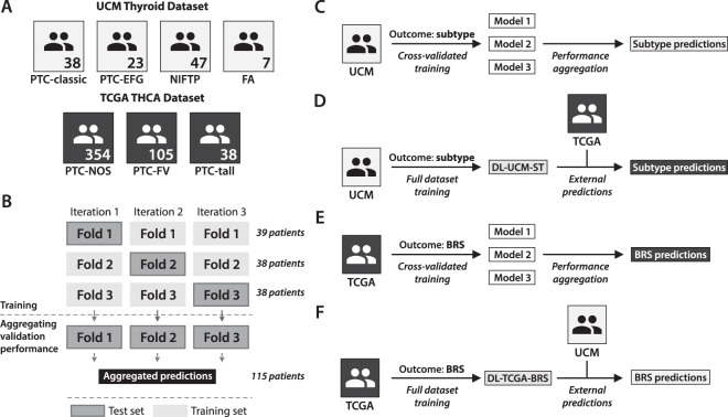 PMC8064913 – Fig1