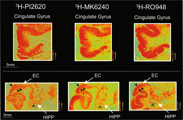 PMC10005967 – Fig4